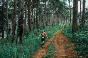 BIB: 
                            <button type="button" onclick="openModal(25659635)" class="btn btn-primary btn-sm float-right btn-popup" data-toggle="modal" data-target=".modal-high-quality">
                        <i class="fas fa-shopping-cart"></i> Add to Cart
                    </button>
                                            <button type="button" onclick="isThisMe(25659635, true)" class="btn btn-success btn-sm float-right btn-popup btn-isme hidden" data-toggle="tooltip" data-placement="bottom" title="นี่คือรูปของคุณใช่ไหม คลิกที่นี่เพื่อเอาเข้าอัลบั้ม">
                        <i class="fas fa-plus"></i> Add to album
                    </button>
                    <button type="button" onclick="isThisMe(25659635, false)" class="btn btn-warning btn-sm float-right btn-popup btn-isnotme hidden">
                        <i class="fas fa-ban"></i> Remove from album
                    </button>